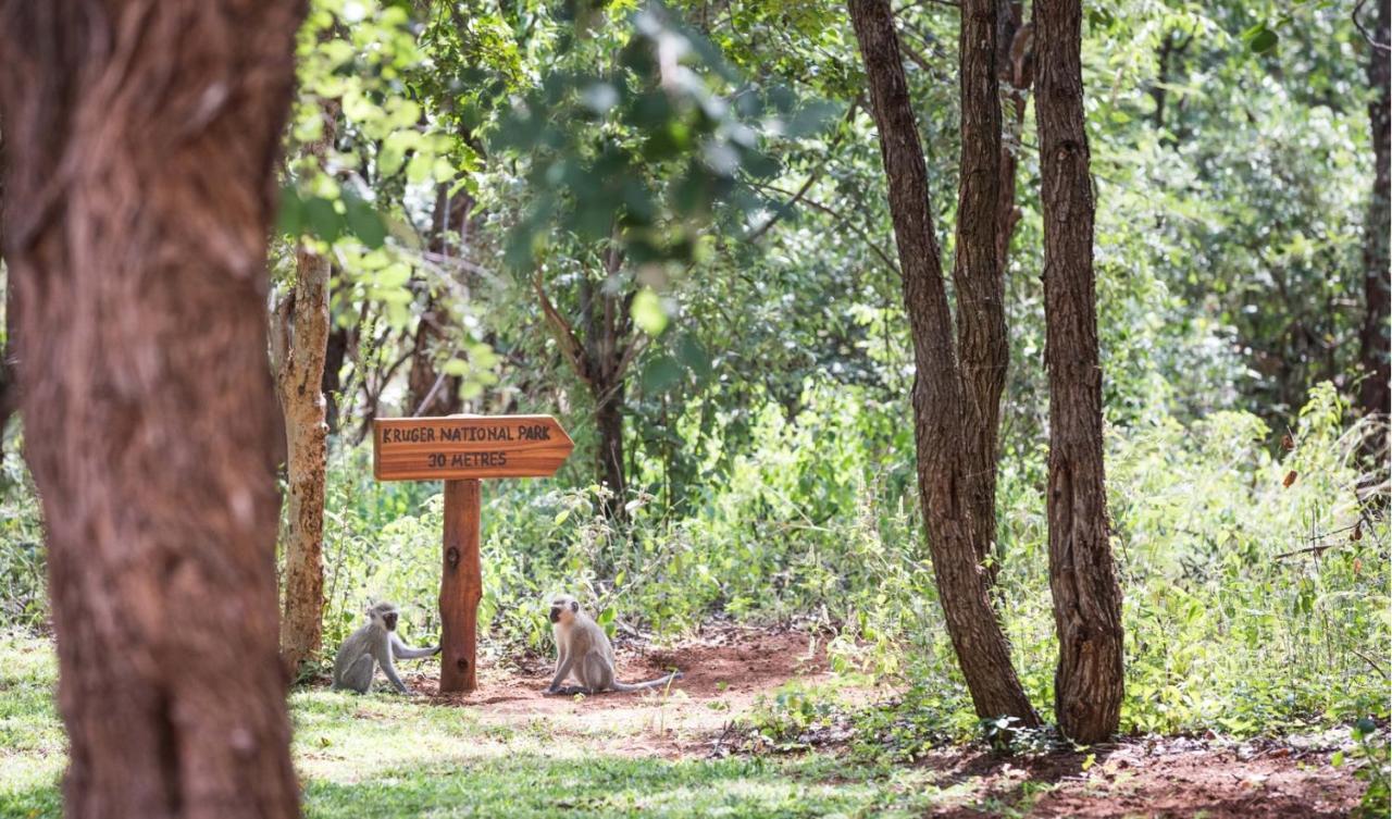 Kingly Bush Villa Phalaborwa Buitenkant foto