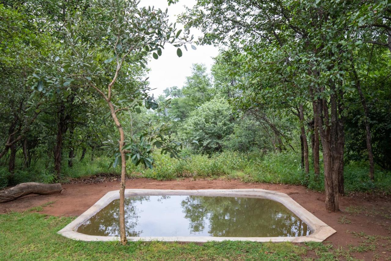 Kingly Bush Villa Phalaborwa Buitenkant foto